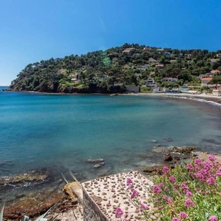 Grande Maison De Ville Atypique - 4 Nuits Mini La Seyne-sur-Mer Esterno foto